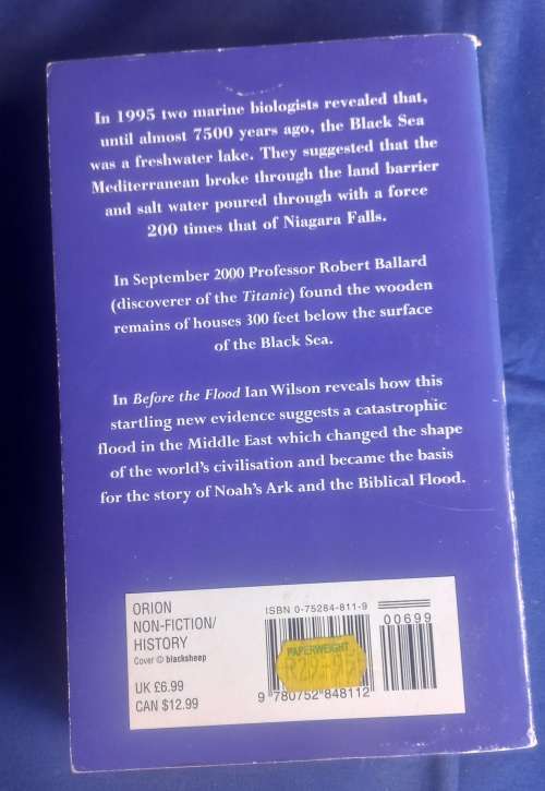 Before the flood by Ian Wilson