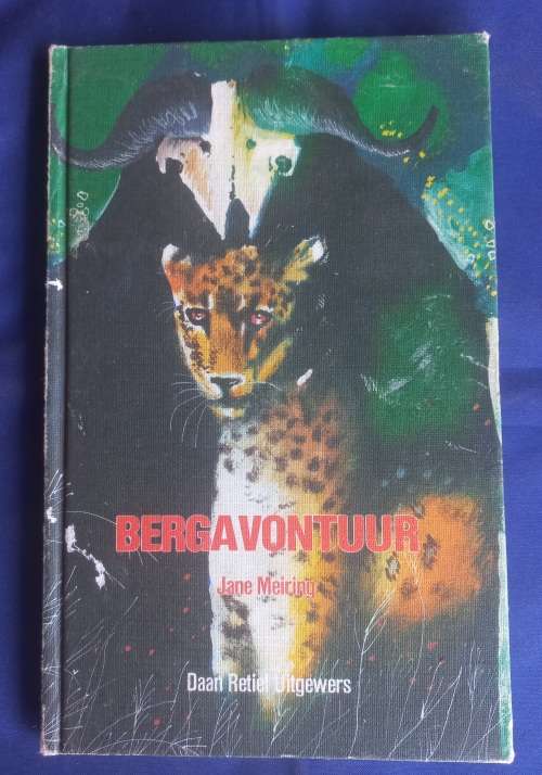 Bergavontuur deur Jane Meiring