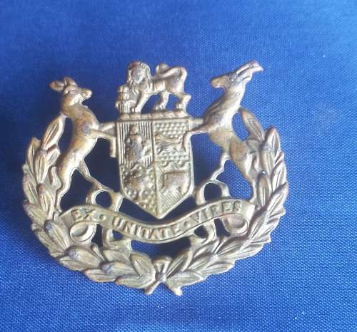 Ex Unitate Vires badge