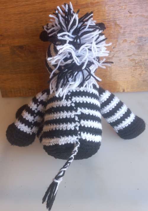 Zebra rare bear