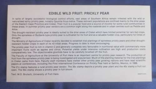 First day envelope: Edible wild fruit prickly pear