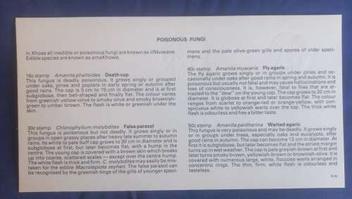 First day envelope: Poisonous fungi Ciskei