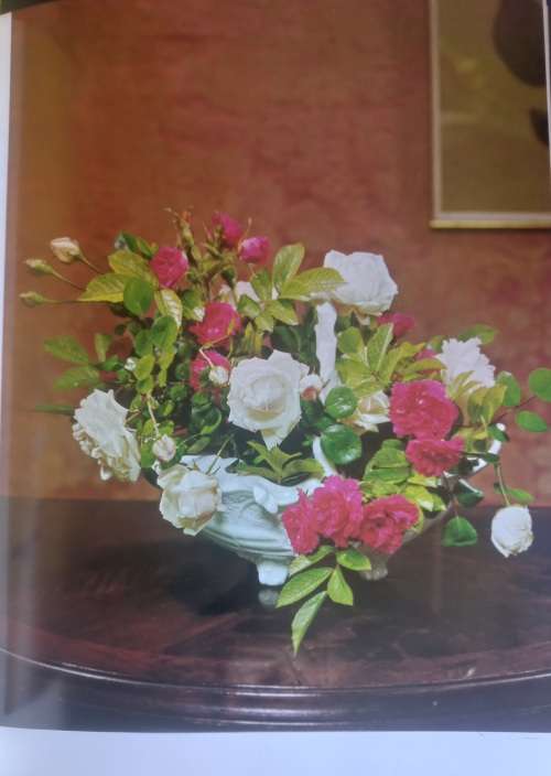 Gift book of flower arranging by Julia Clements