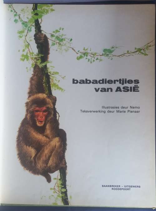 Babadiertjies van Asie