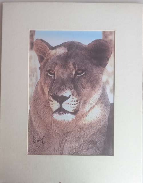 The Koping collection (Brian Koping) print