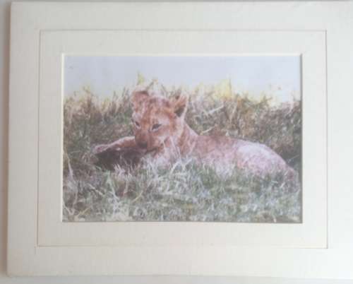 The Koping collection (Brian Koping) print