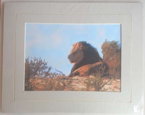 The Koping collection (Brian Koping) print