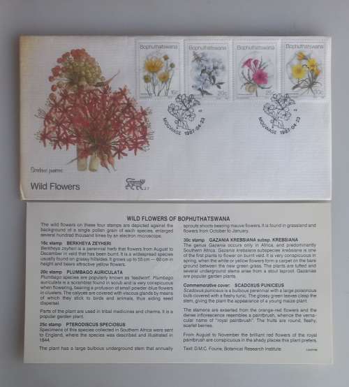 Wild flowers FDC
