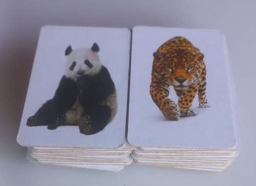 Wimpy food 4 fun animal planet cards