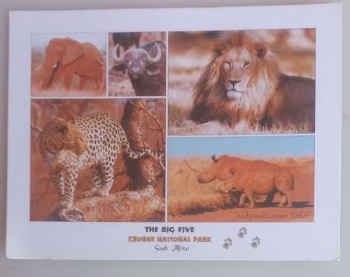 The big five Kruger National Park postcard