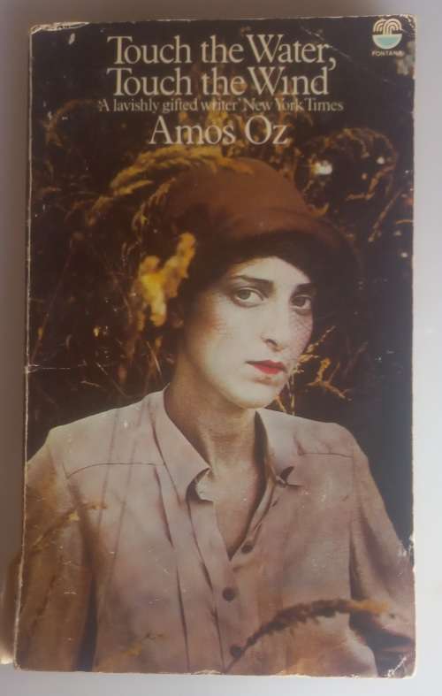 Touch the water, touch the wind by Amos Oz