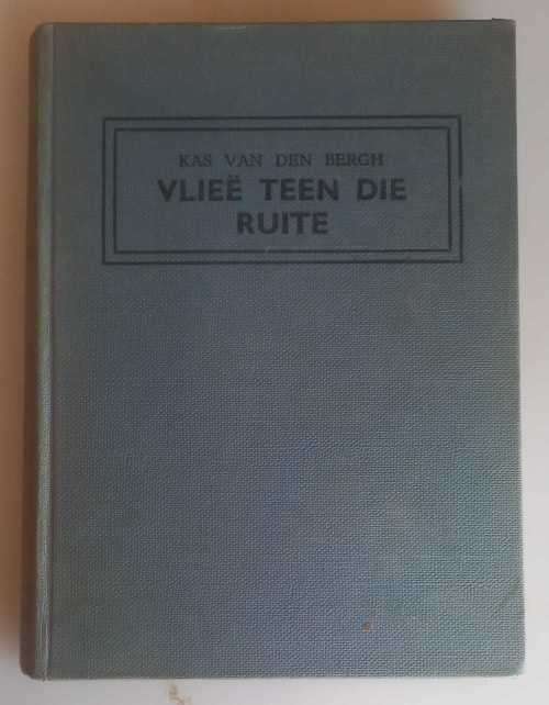 Vliee teen die ruite deur Kas van den Bergh