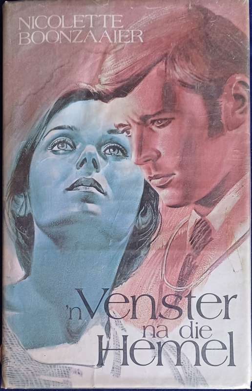`n Venster na die hemel deur Nicolette Boonzaaier