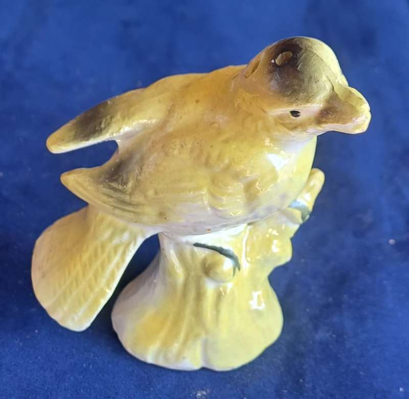 Bird salt pot