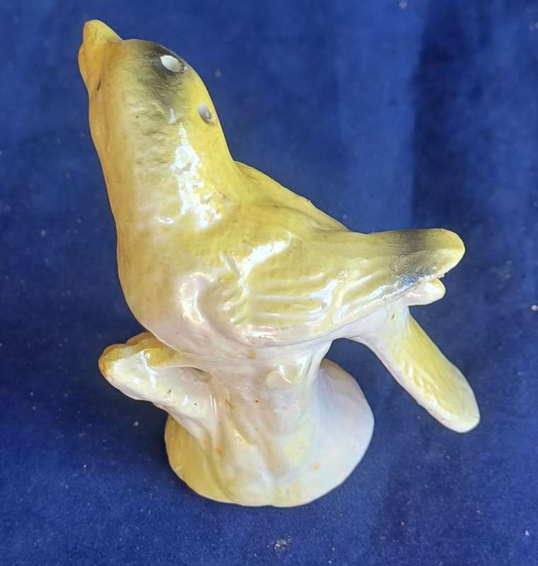 Bird salt pot