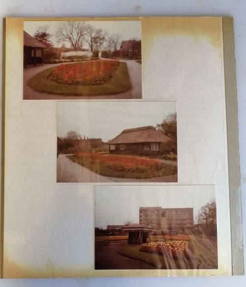 Vintage photos