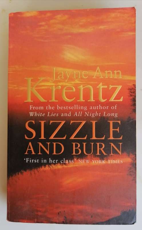 Sizzle and burn by Jayne Ann Krentz