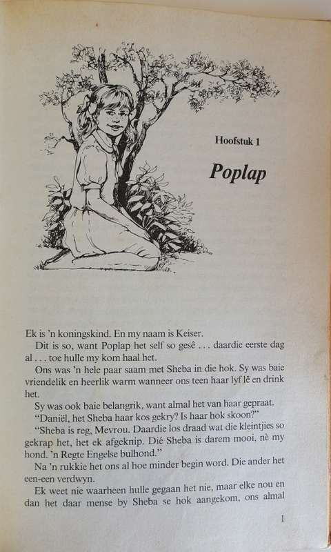 Koningskind deur Anita du Plessis