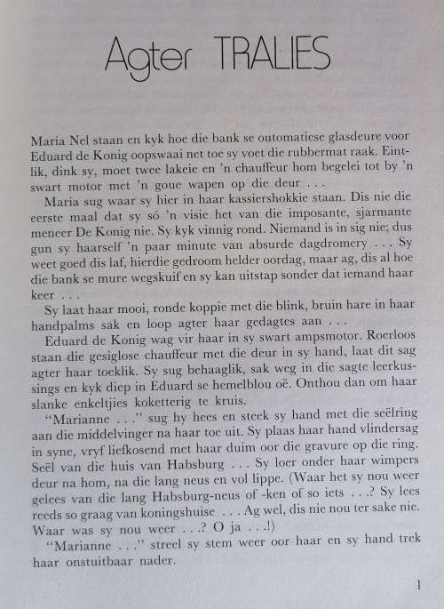 Ruitjiesvenster deur Helene de Kock