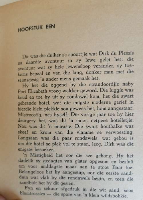 Waar die dolfyne speel deur Helene Rabie