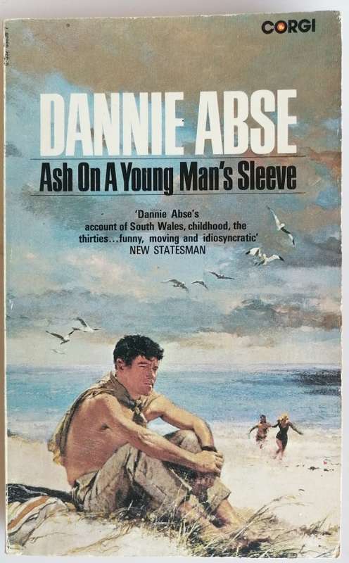 Ash on a young man`s sleeve by Dannie Abse
