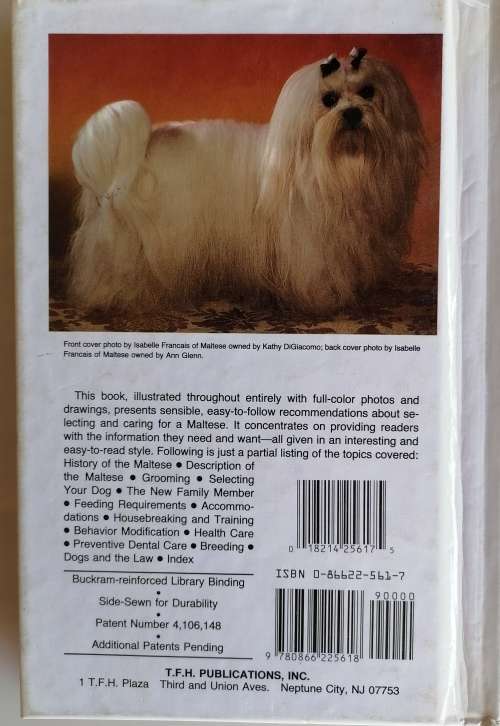 Maltese by Kathy Di Giacomo