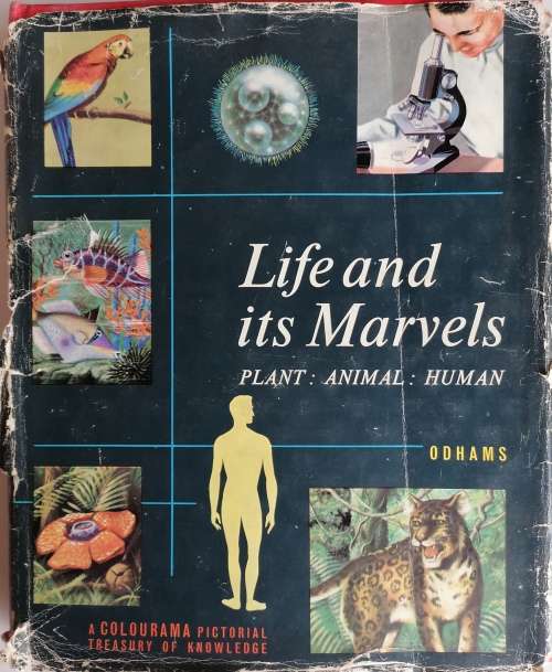 Life and its marvels