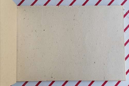 2 x Dodo Ile Maurice photo albums  100% handmade with  natural flowers