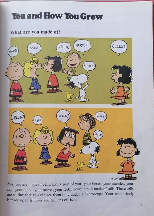 Charlie Brown`s `cyclopedia Featuring your body