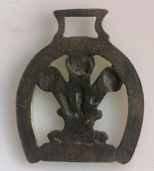 Rare Charles Diana Royal wedding horseshoe