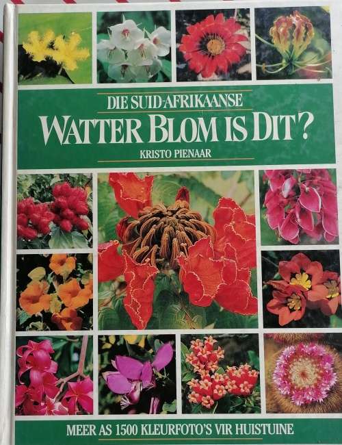 Die Suid-Afrikaanse Watter blom is dit deur Kristo Pienaar