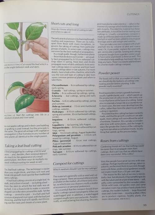 Your gardening questions answered
