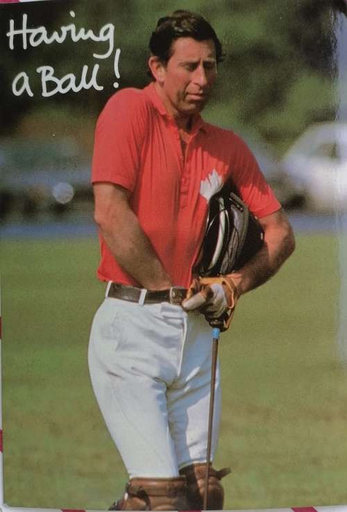 Prince Charles Having a ball postcard (used)