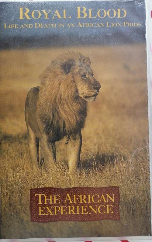 Royal blood Life and death in an African Lion pride VHS