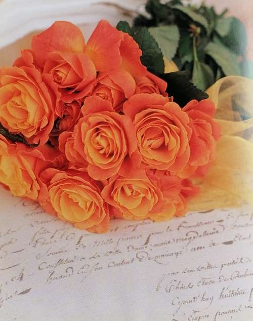Wedding flowers by Allison Kyle Leopold