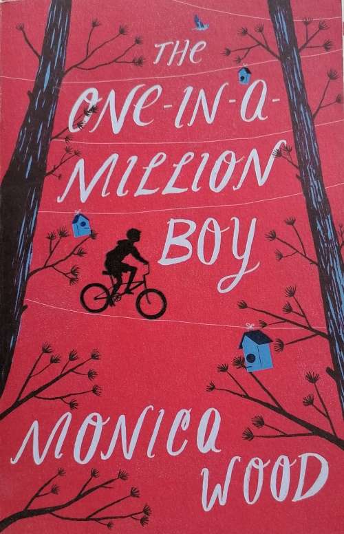 The one-in-a-million boy by Monica Wood