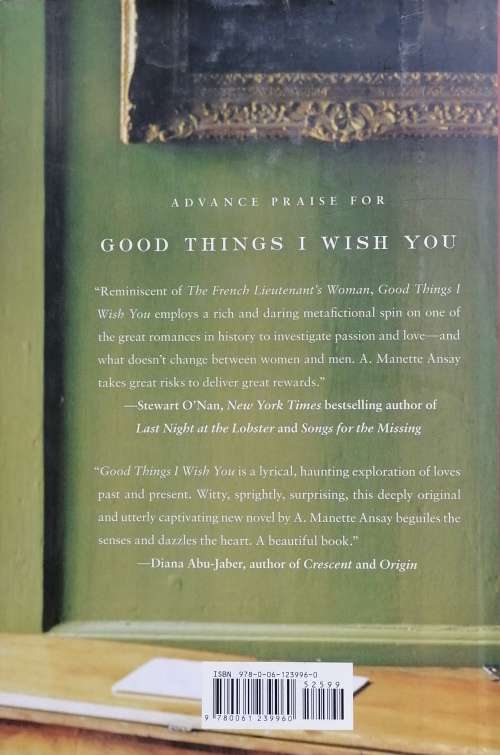 Good things I wish you by A Manette Ansay