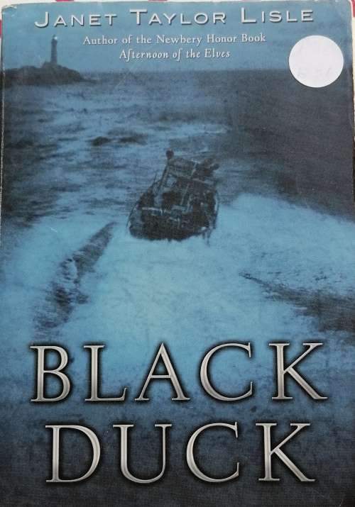 Black duck by Janet Taylor Lisle
