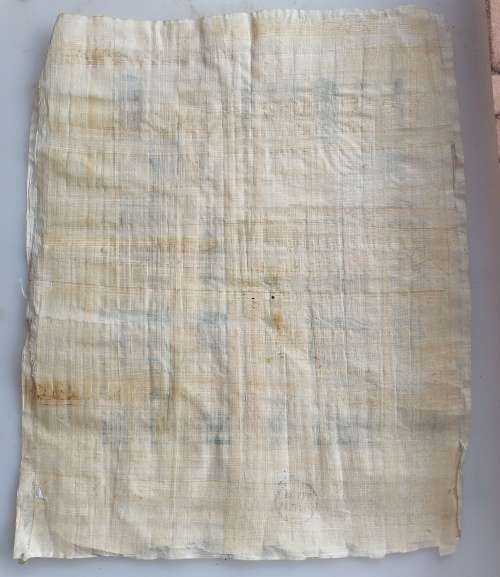 Egyptian papyrus