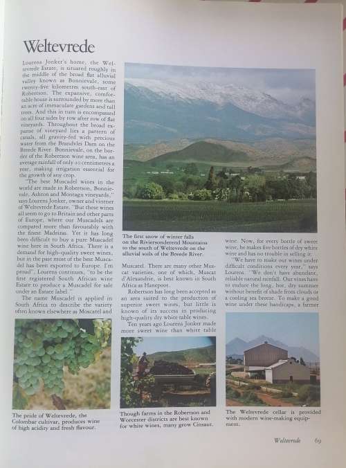 Estate wines of South Africa by Graham Knox