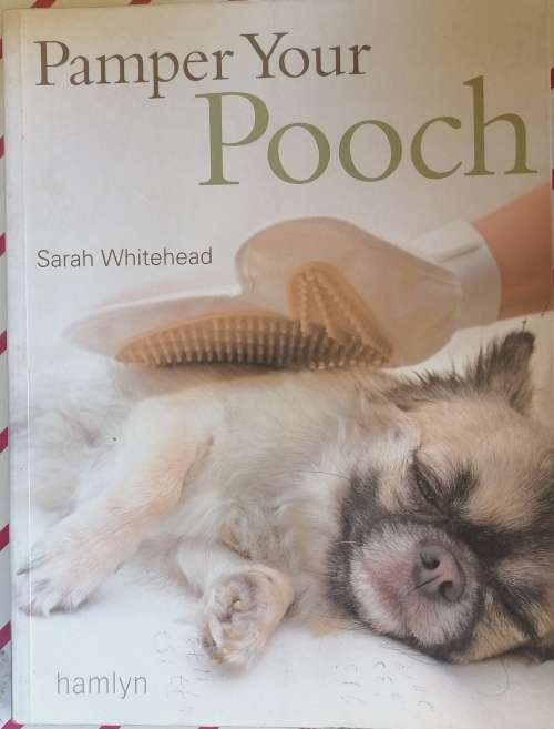 Pamper your pooch by Sarah Whitehead