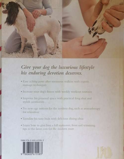 Pamper your pooch by Sarah Whitehead