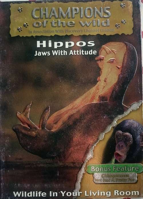 Champions of the wild - Hippos dvd