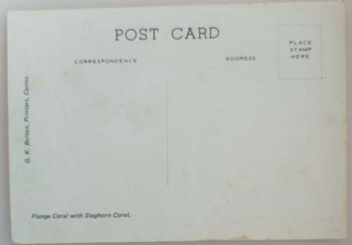 Vintage postcard: Flange Coral
