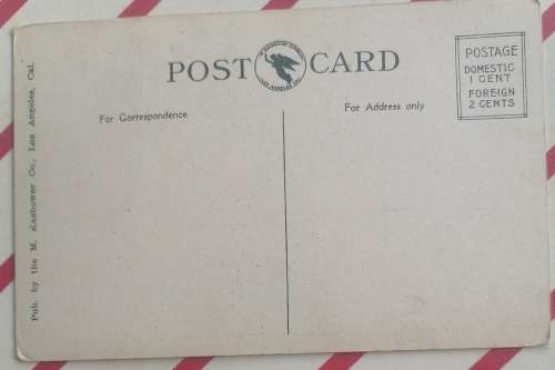 Vintage postcard: Banana tree, Eastlake Park, Los Angeles