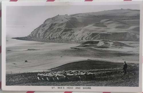 Vintage postcard: St. Bee`s head and shore