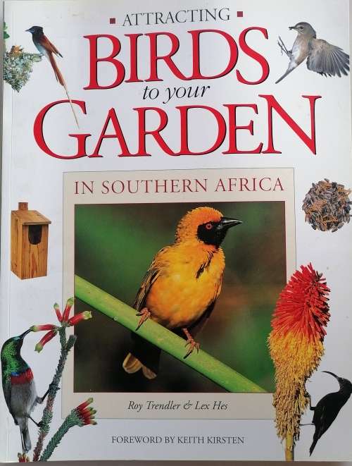 Attracting birds to your garden in Southern Africa