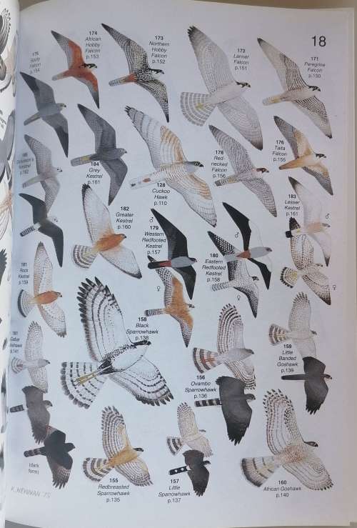 Field companion to Roberts birds of Southern Africa