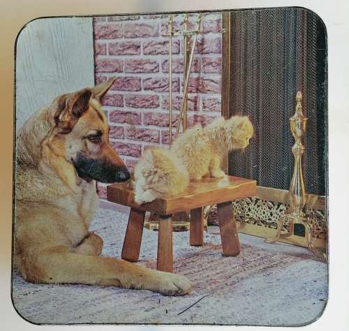 Vintage Pyotts biscuits tin
