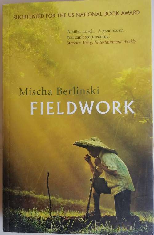Fieldwork by Mischa Berlinski